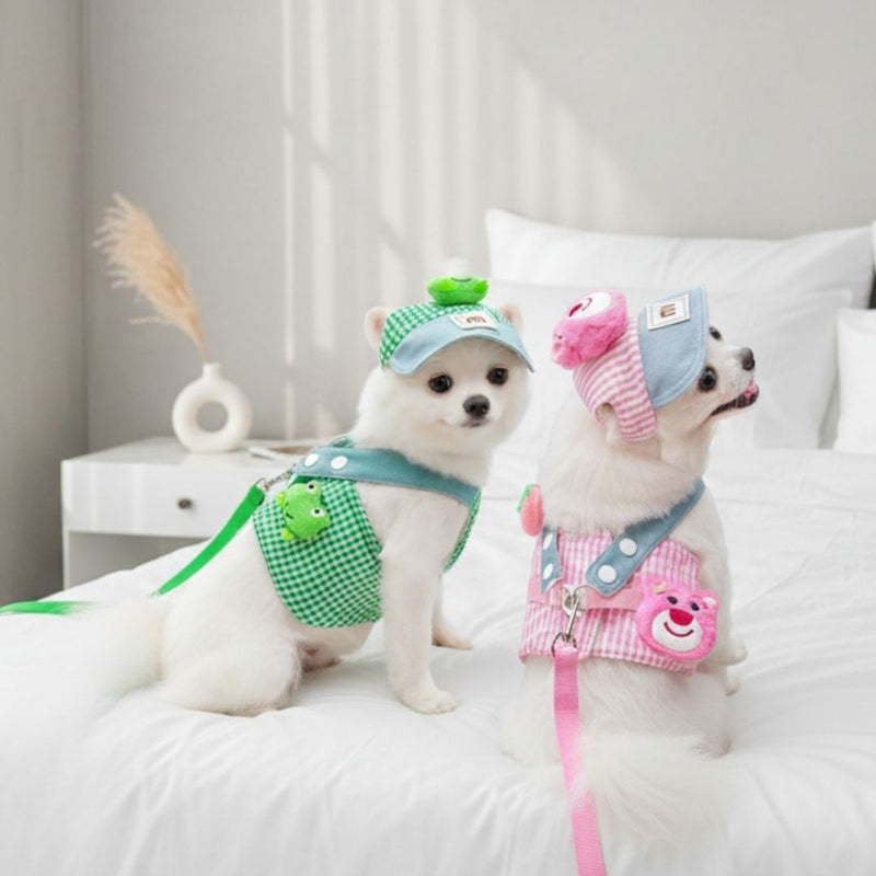 Boné e Peitoral de Luxo para Pets