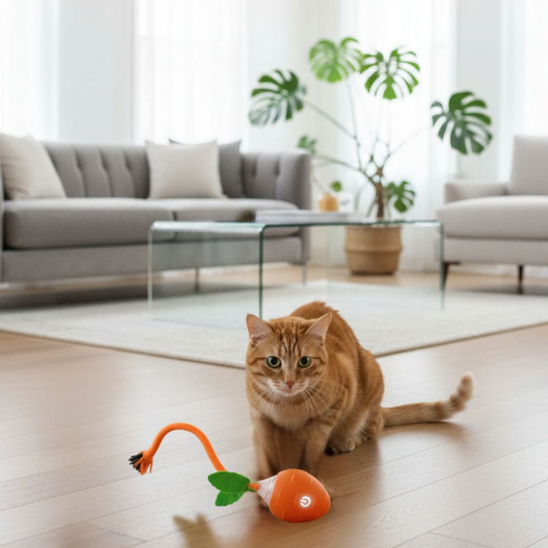 Brinquedo Interativo Recarregável Cenoura para Pets