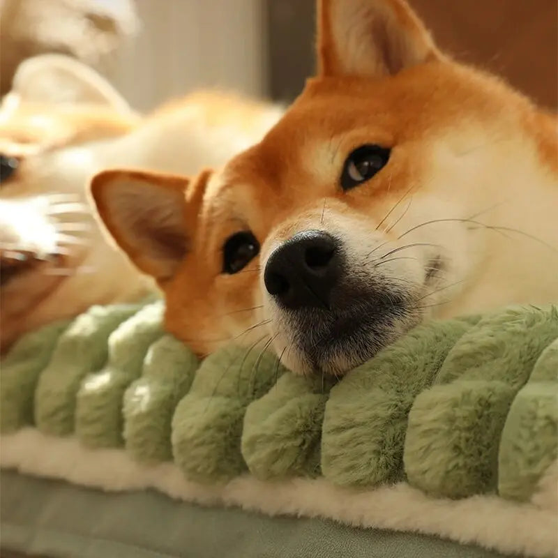 Cama Pet Peace
