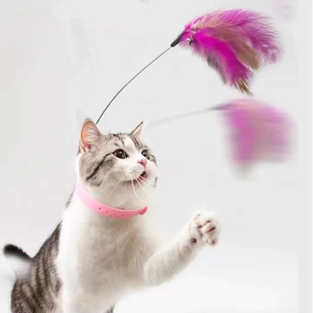 Brinquedo Coleira Pega-Pena para Gatos