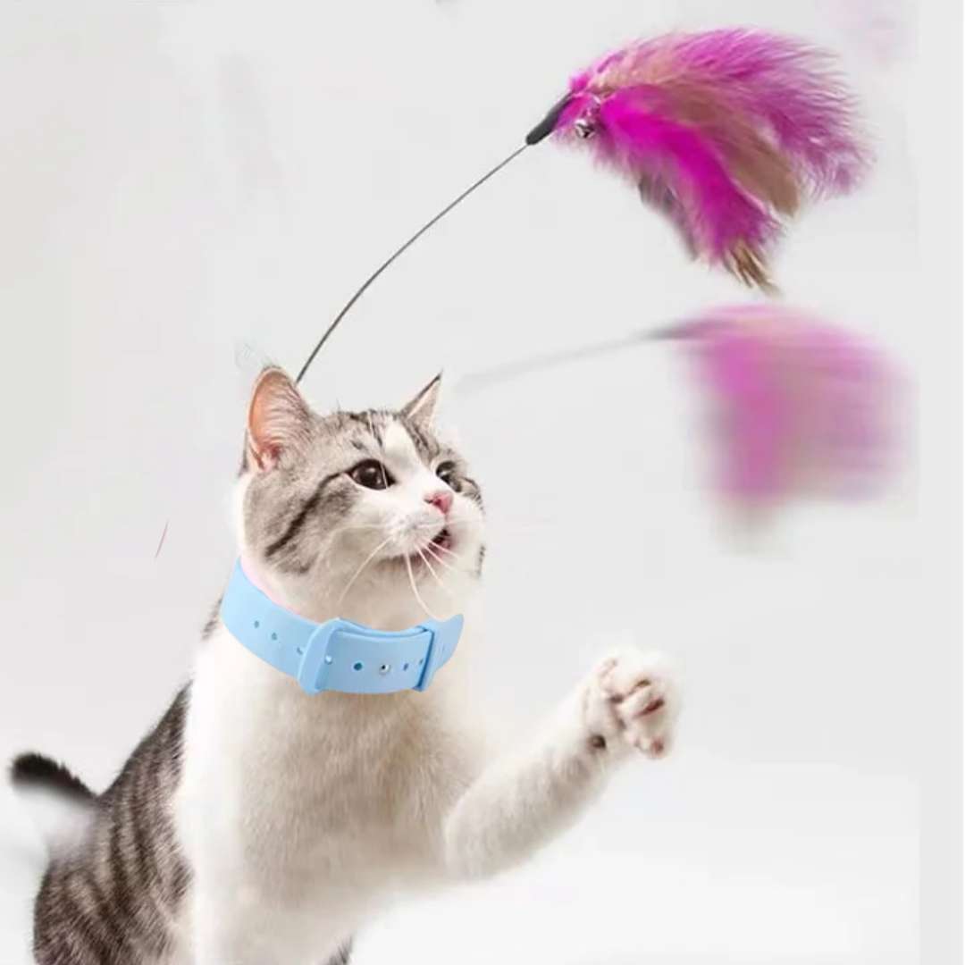Brinquedo Coleira Pega-Pena para Gatos