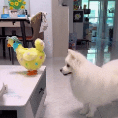 Frango Interativo que Põe Ovos
