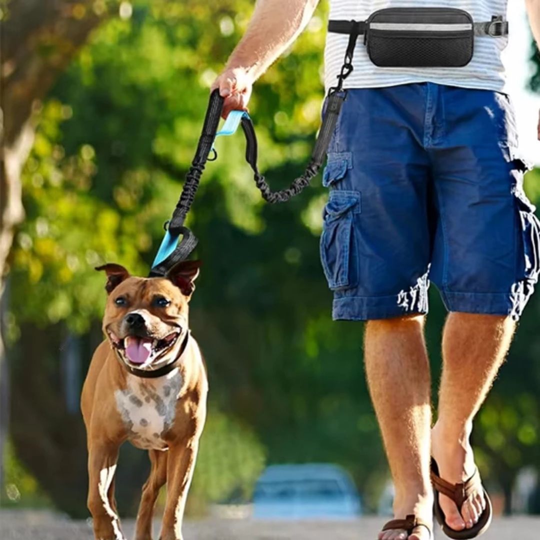 Guia Mãos Livres para Cães