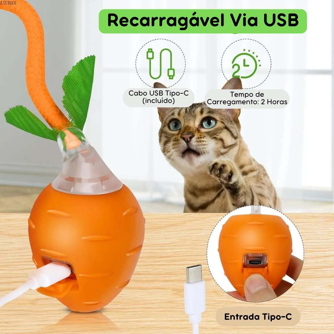 Brinquedo Interativo Recarregável Cenoura para Pets