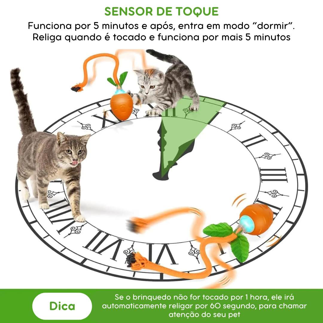 Brinquedo Interativo Recarregável Cenoura para Pets