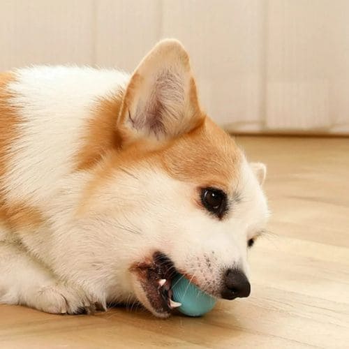Bola Inteligente Interativa para Pets