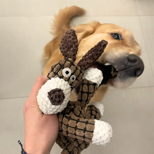 Brinquedo ZigZag com Apito para Pets