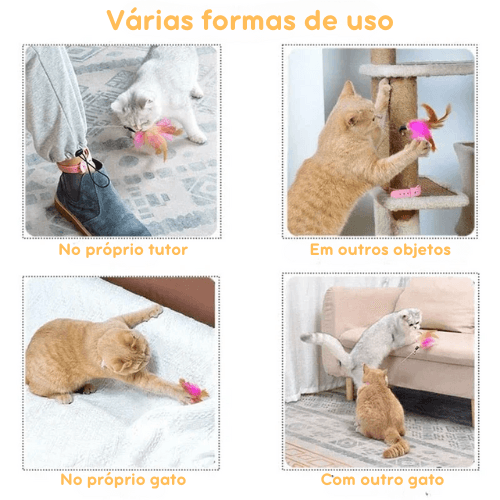 Brinquedo Coleira Pega-Pena para Gatos
