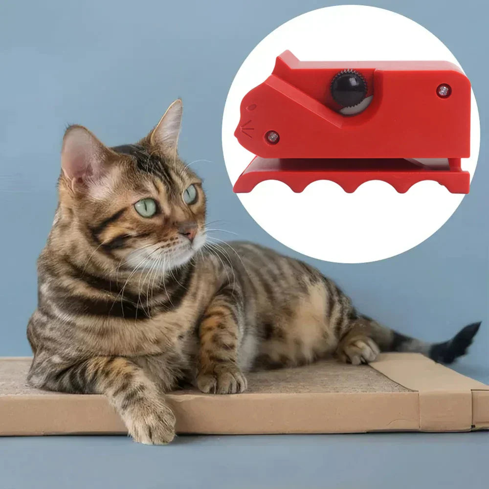 Cortador de Papelão para Gatos