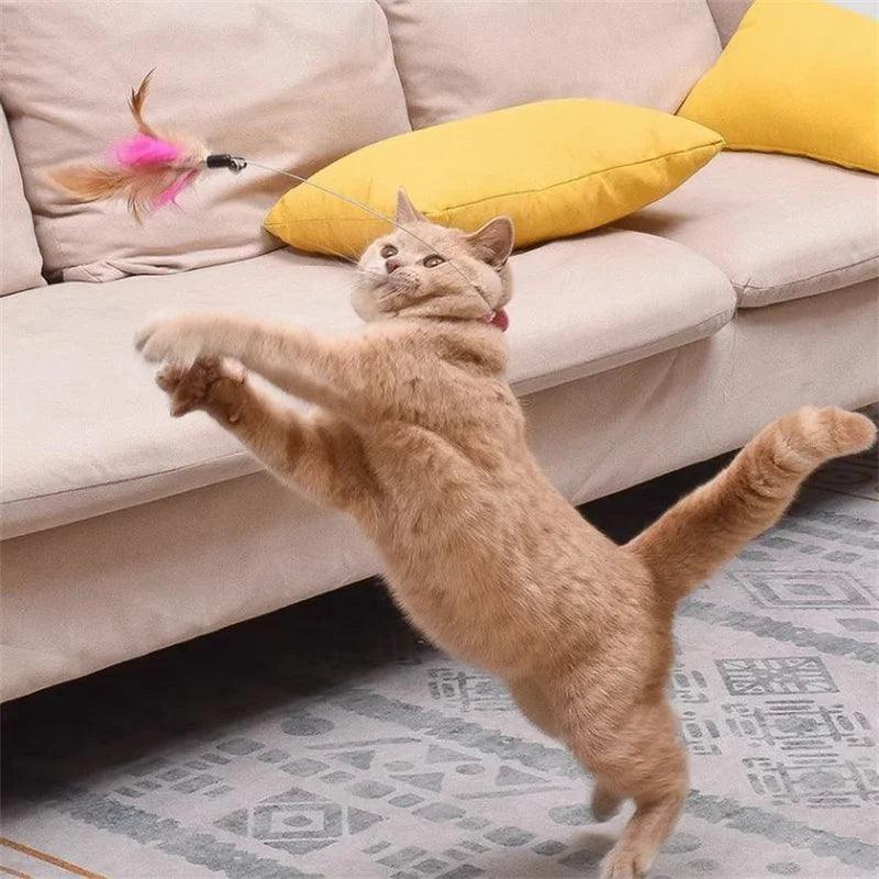 Brinquedo Coleira Pega-Pena para Gatos
