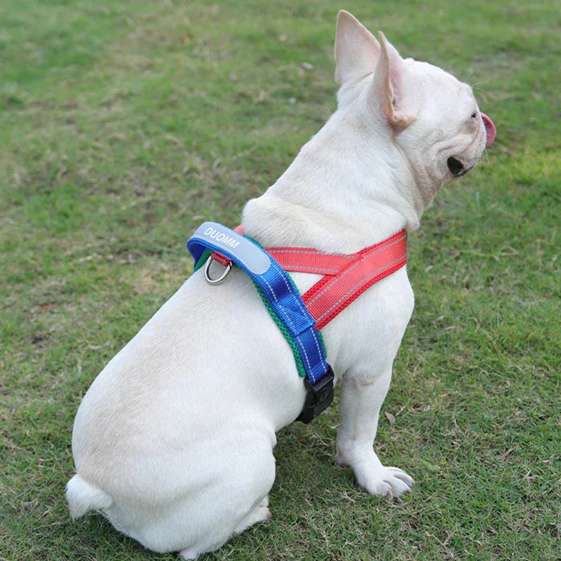 Coleira Peitoral Estilo Sela para Cães