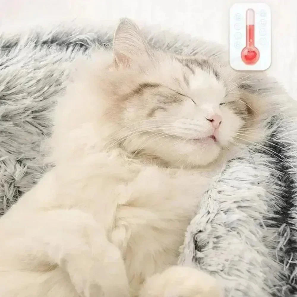 Cama de Pelúcia Quente para Gatos