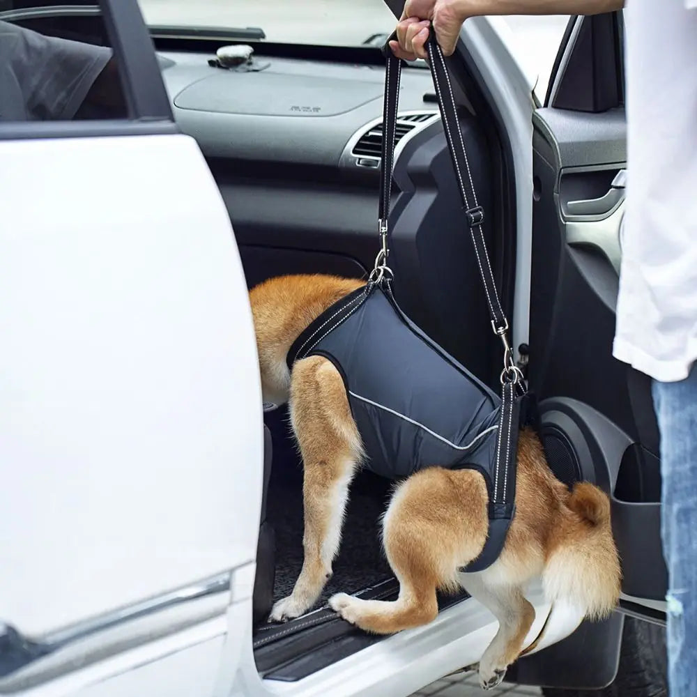 Peitoral de Suporte Ortopédico para Cães