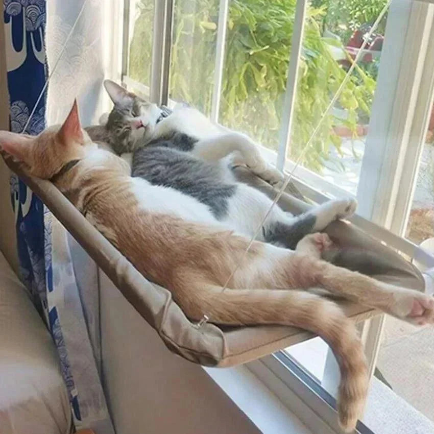 Cama de Gato Suspensa Janela
