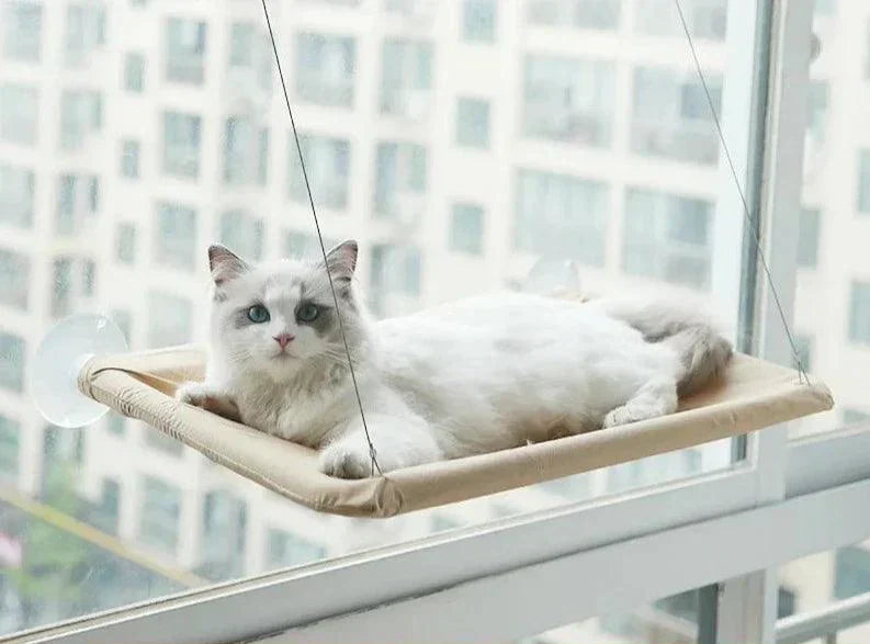 Cama de Gato Suspensa Janela