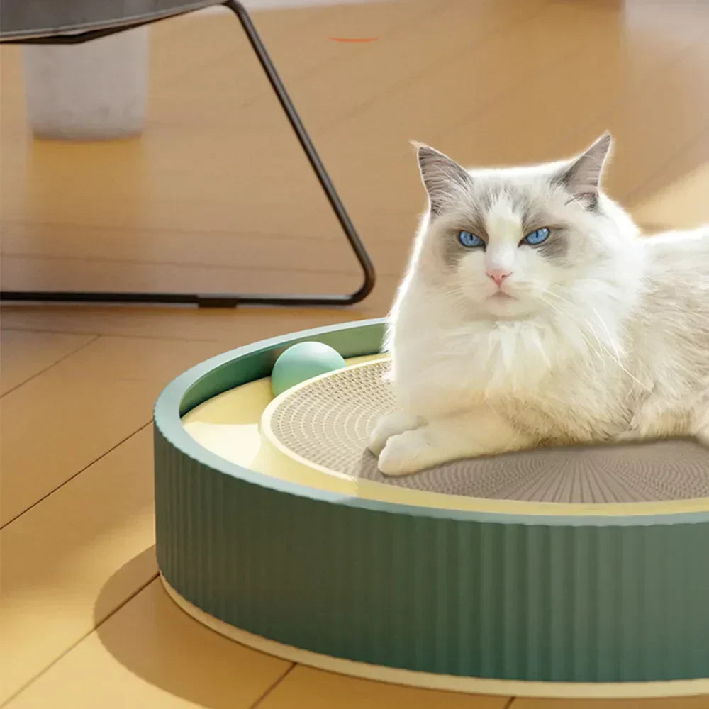 Arranhador Redondo com Cama e Bola para Gatos