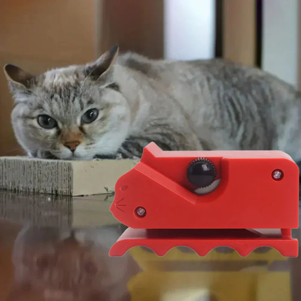 Cortador de Papelão para Gatos