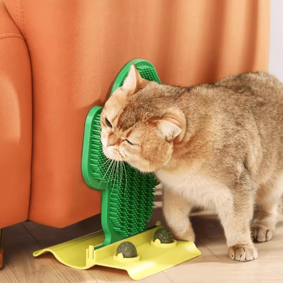 Massageador de Canto Cacto Felino com Catnip