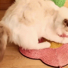 Arranhador Sisal para Gatos