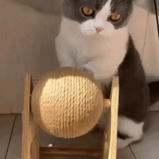 Arranhador Bola para Gatos