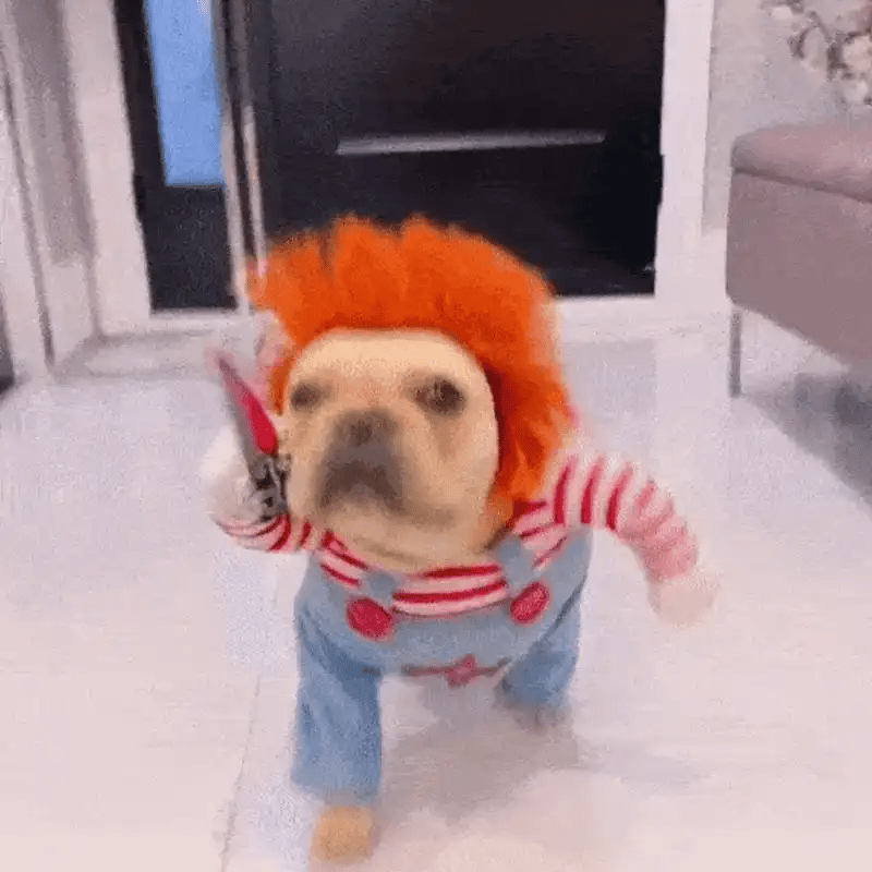 Fantasia Chucky Pet – Cães e Gatos