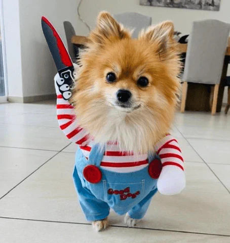Fantasia Chucky Pet – Cães e Gatos