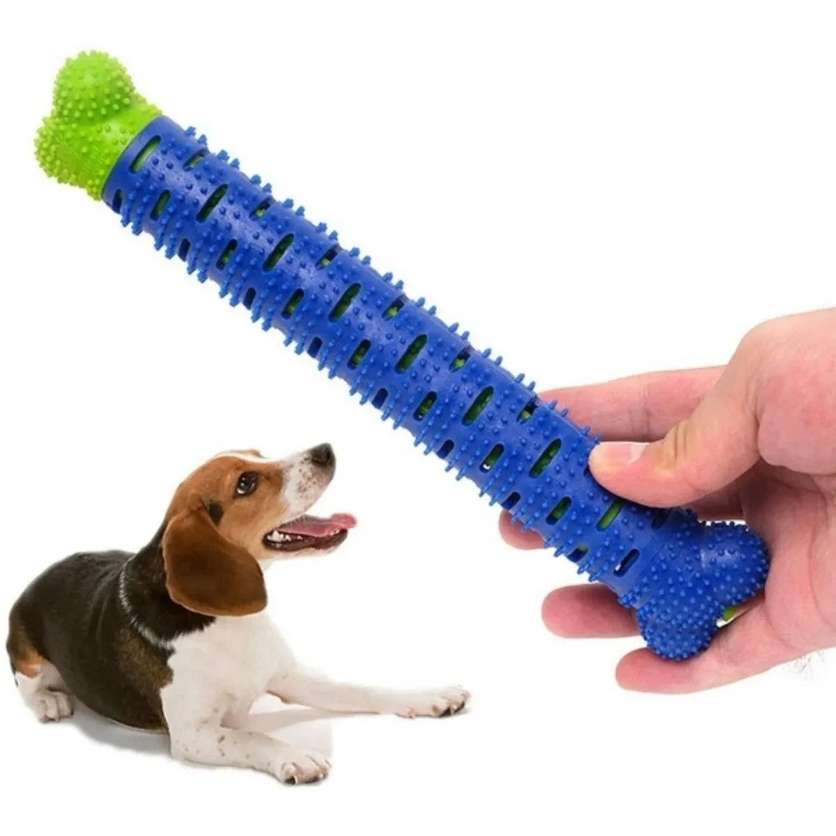 Mordedor Escova de Dente Dogs