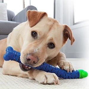 Mordedor Escova de Dente Dogs