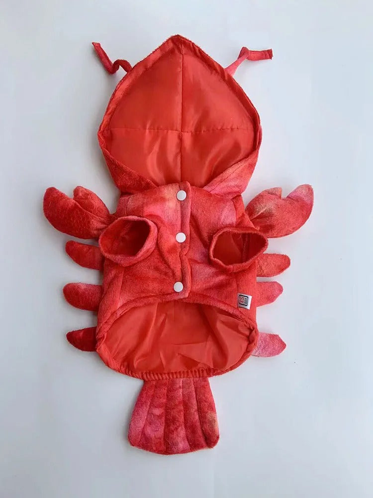 Fantasia Lagosta