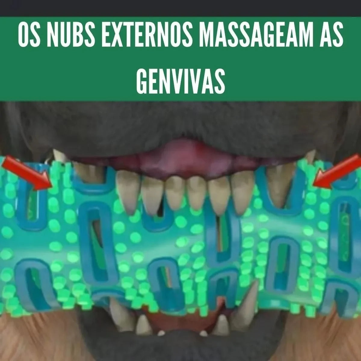 Mordedor Escova de Dente Dogs