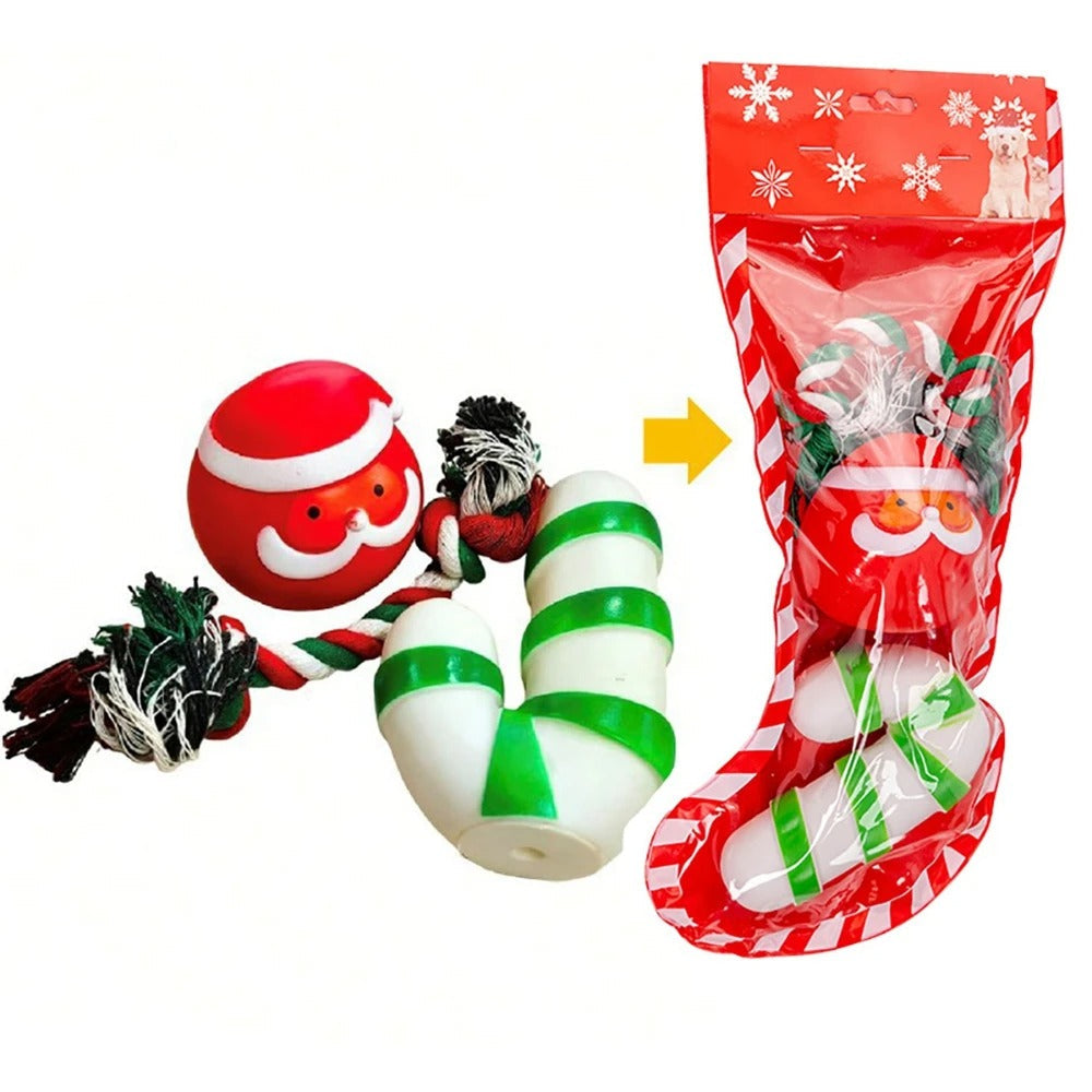 Kit Natalino para Cães