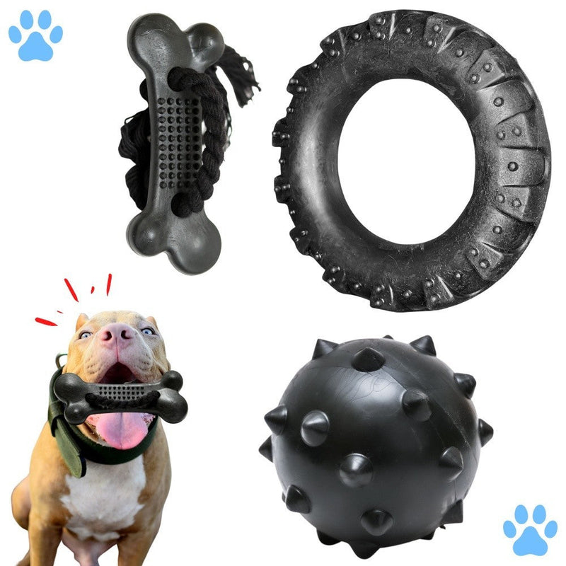 Kit 3 Brinquedos Mordedor para Cachorro